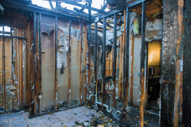 Professional Fire Damage Removal technician working in Rockville, MN